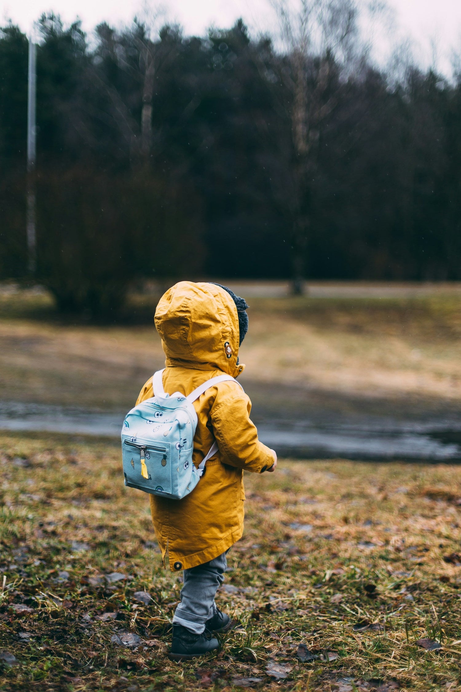 Toddler Essentials