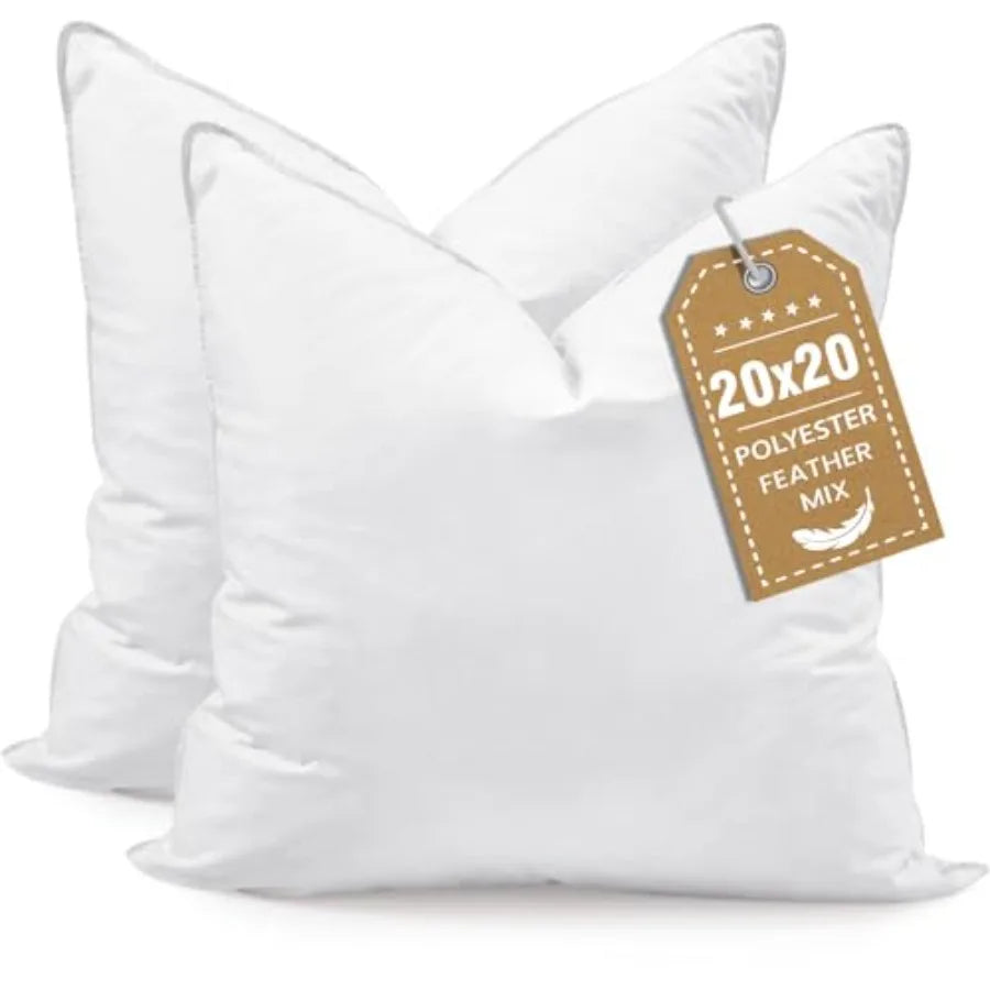 Throw Pillows 20x20 Euro Pillow serts Set of 2, Down Feather Alternative Pillow serts, Decorative Soft Large Square White Throw