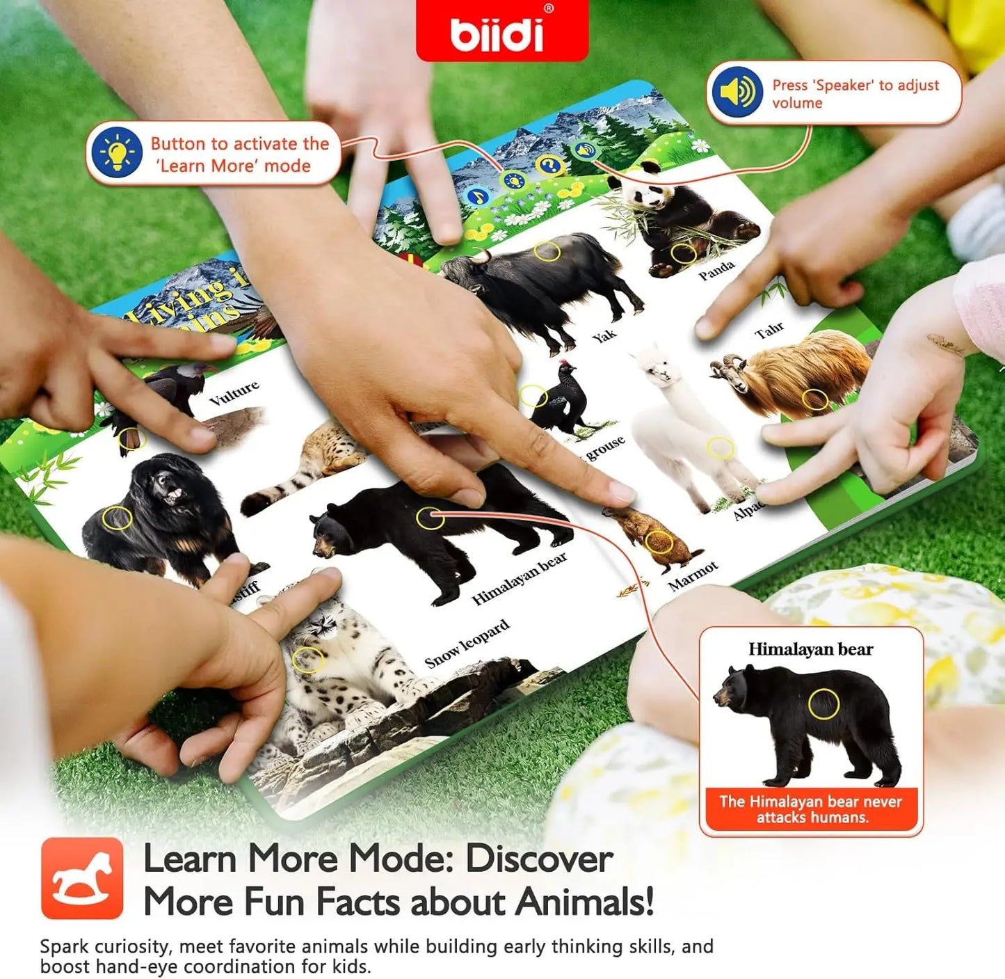 Biidi Animal Talking Book English Interactive Audio Sound Book Kids Learning Electronic Toys for Boys Girls, Autism Sensory Game