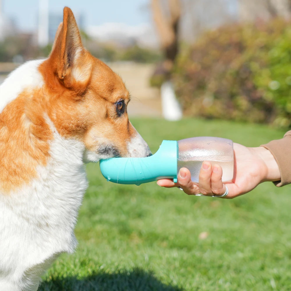 Holapet 300ml Pet Water Bottle For Dogs Cats Hiking Travel