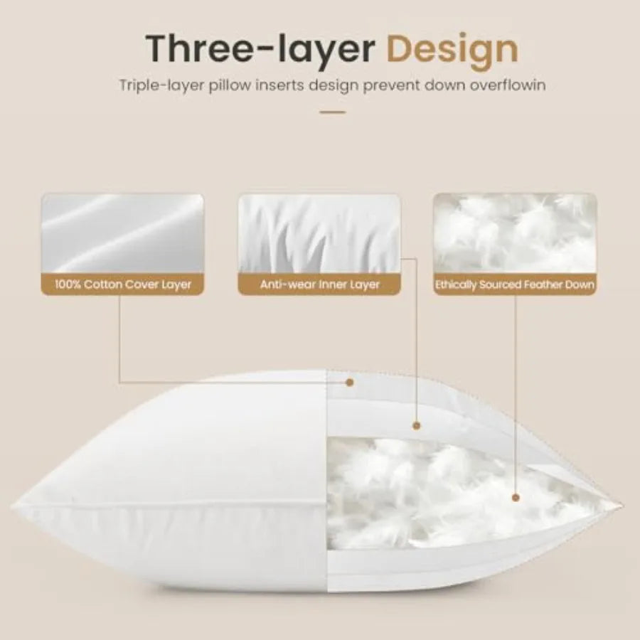 Throw Pillows 20x20 Euro Pillow serts Set of 2, Down Feather Alternative Pillow serts, Decorative Soft Large Square White Throw