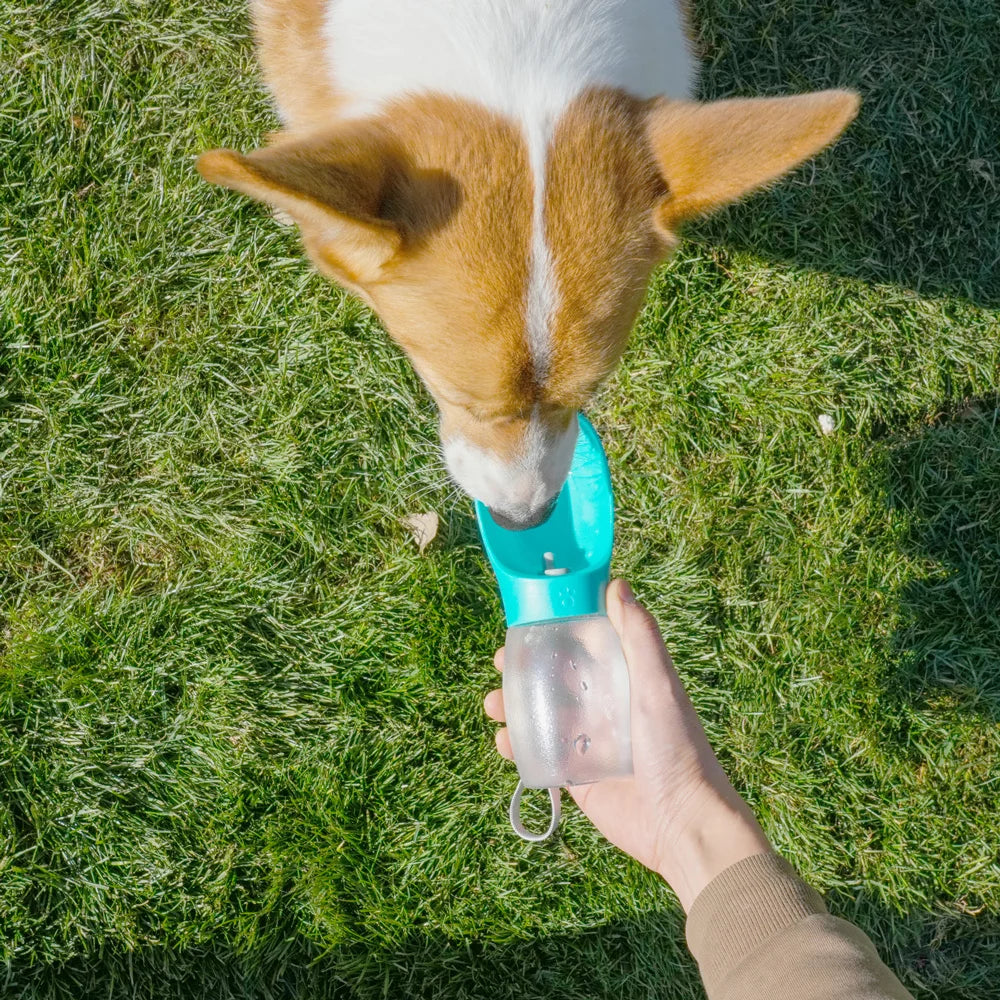 Holapet 300ml Pet Water Bottle For Dogs Cats Hiking Travel