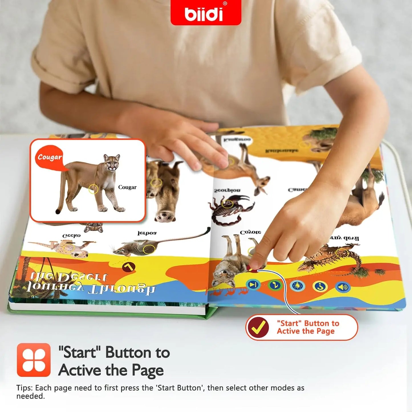 Biidi Animal Talking Book English Interactive Audio Sound Book Kids Learning Electronic Toys for Boys Girls, Autism Sensory Game