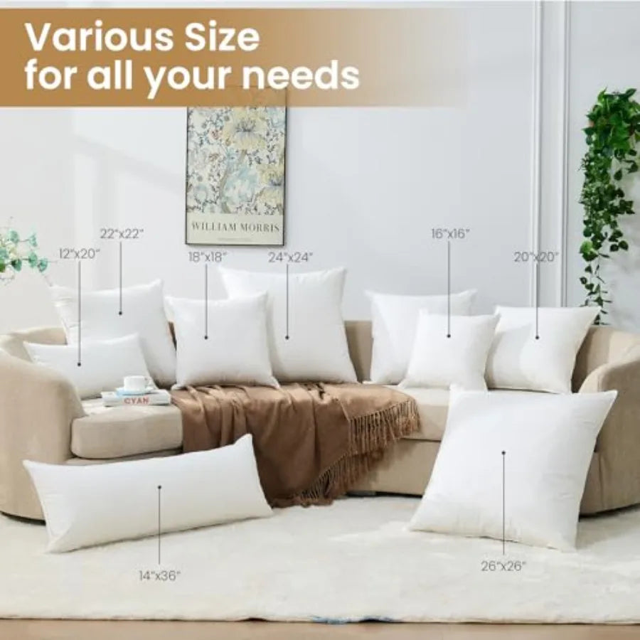 Throw Pillows 20x20 Euro Pillow serts Set of 2, Down Feather Alternative Pillow serts, Decorative Soft Large Square White Throw
