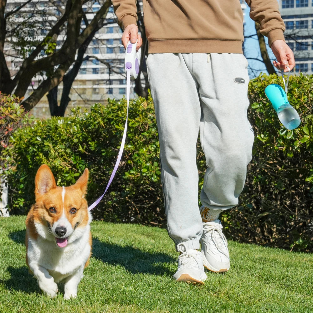 Holapet 300ml Pet Water Bottle For Dogs Cats Hiking Travel